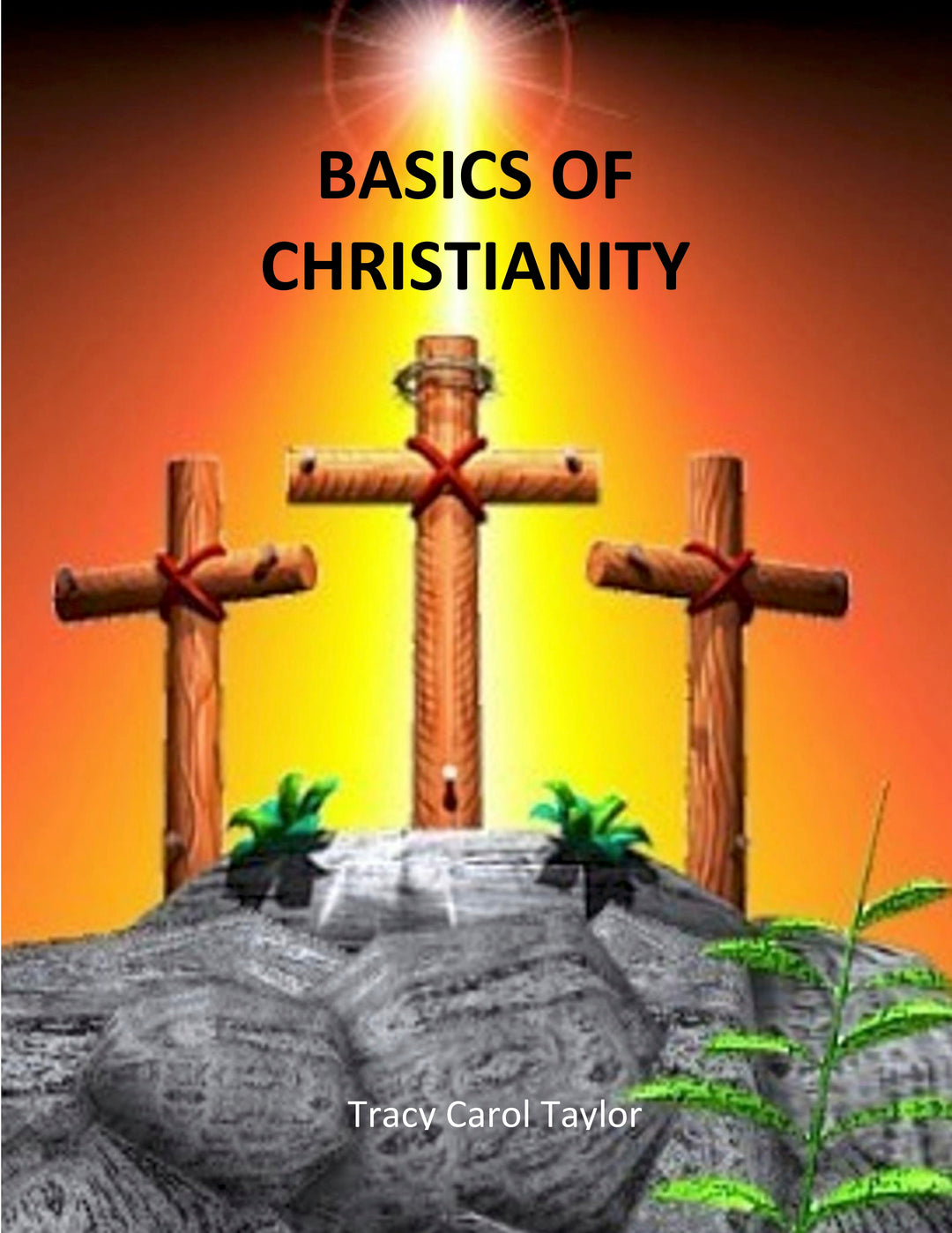 Basics of Christianity Ebook | Tracy Taylor Books