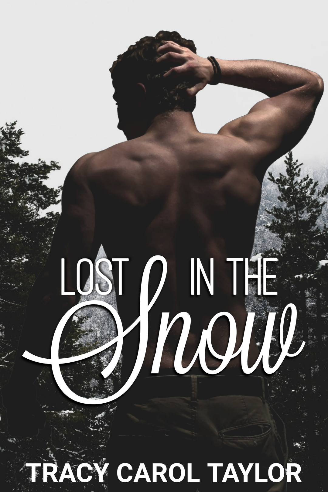 Lost in the Snow - Young Adult Fiction / Romance / Contemporary